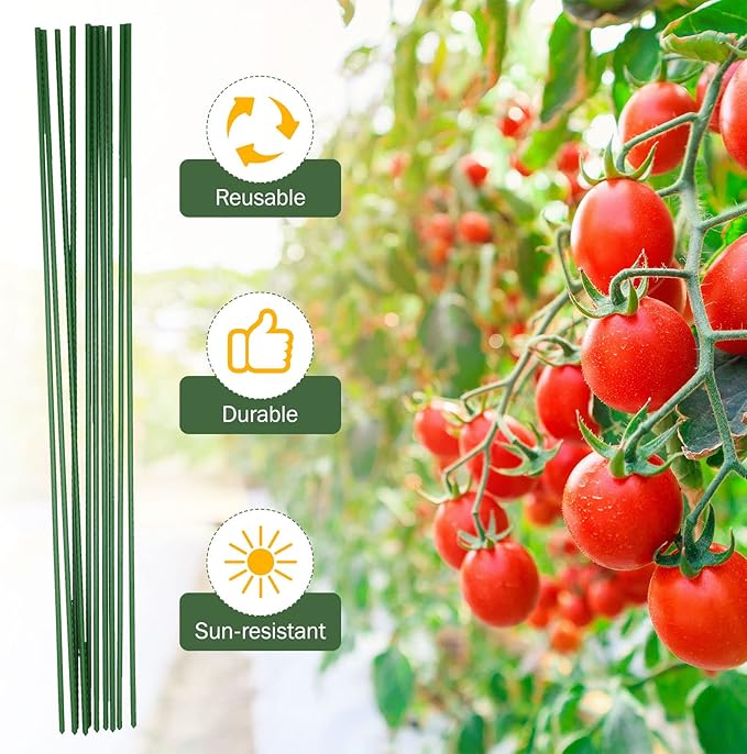 Tanlade 100 Pack 5 Ft/60 Inches Garden Plants Stakes Tomato Stakes Steel Metal Plant Sticks Support with Plastic Coated Sturdy for Tomato, Beans, Peppers, Trees, Outdoor Indoor Climbing Plants