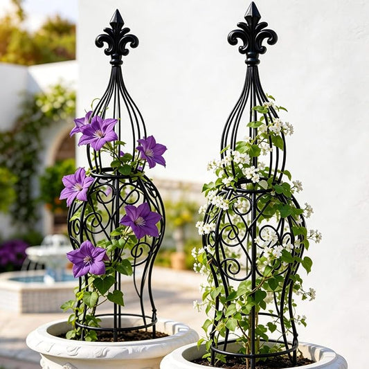 2-Pack Iron Garden Obelisk Trellis, 30" Rose Climbing Plant Support | Tool-free snap assembly; fits 9–12in pots, for roses clematis ivy vines, 2-pack patio balcony outdoor metal trellis