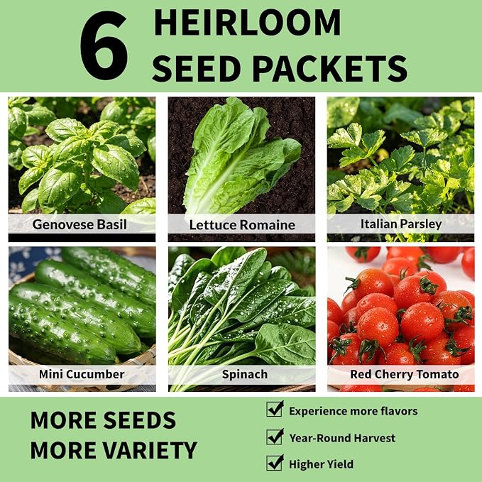 Herb & Salad Seed Pods Kit Hydroponic - 12 Refill Grow Pods with 6-Packet Seeds of Basil, Cherry Tomato, Mini Cucumber, Lettuce, Spinach & Parsley, Compatible with All Hydroponics Growing Systems
