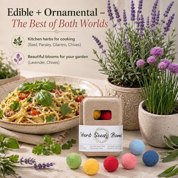 Herb Wildflower Seed Ball - 6 Seed Bombs in Gift Box, 6 Herb Seeds (Basil, Parsley, Cilantro, Chives, Lav, Mint), Beginner-Friendly No Dig Gardening, Easter Gardening Gift Set for Women Mom Her