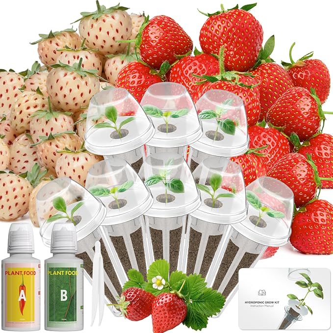 Strawberry Seed Kit Compatible with Hydroponics Growing System Pods, Indoor Home Gardening, Easy to Use for Beginner