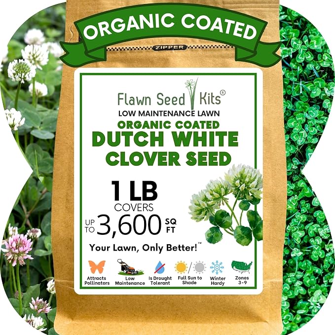 Flawn Seed Kits White Dutch Clover Seed, 1 Lb, Organic Coated, Natural Lawn, Ground Cover, Hunting Food Plot, Covers up to 3,600 Sqft