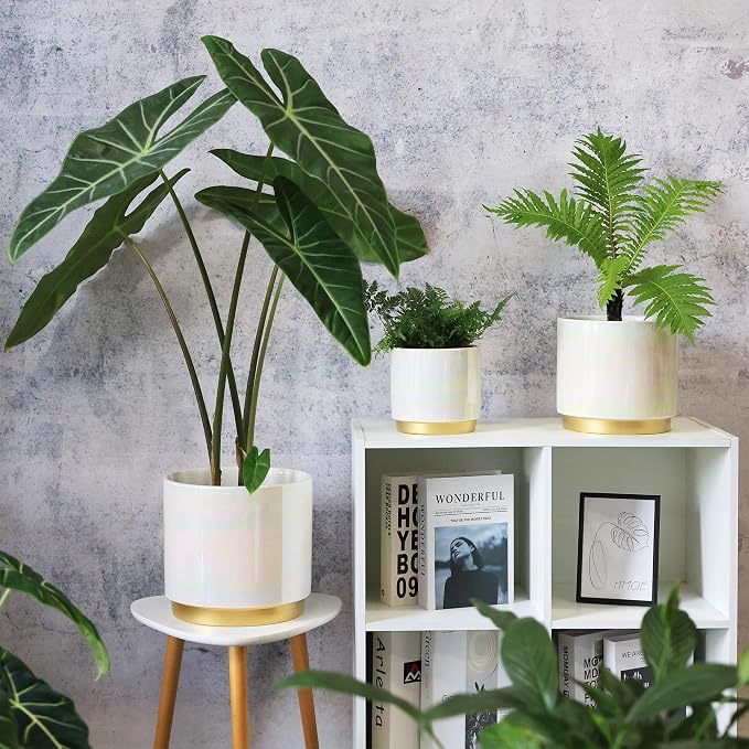 Gepege White Indoor Plant Pots for Plants, Large Ceramic Planter with Drainage Hole, 9.6-inch Succulent Orchid Flower Pot - Rainbow Pearl Glaze