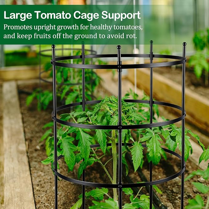 4 Set Titan Peony Plant Support Stakes Black Metal Peonies Cages 17.7" D x 35.4" H Tomato Cages Rings Sturdy Garden Plants Support Trellis for Climbing Plants
