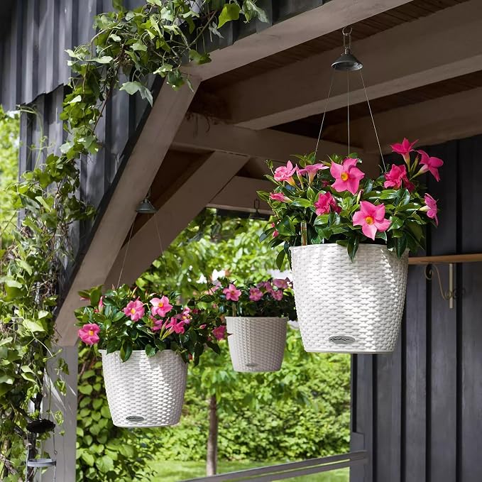 Lechuza Nido Cottage 28 White, Self-Watering Hanging Planter, D10.6 H9.1 in