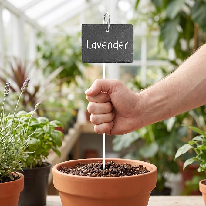 Large Slate Plant Labels, Garden Plant Labels Tags, Plant Markers 10 Sets | Natural Weatherproof Garden Signs with Metal Stakes and Chalk Pencils, for Outdoor Plants Vegetables Herb Flower Bed Pots