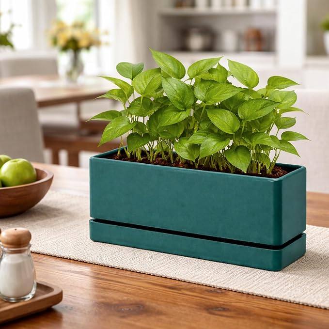D'vine Dev 12 Inch Window Box Planter, Rectangle Plastic Herb Planter with Drainage Holes and Saucer, Indoor Succulent Cactus Vegetable Pot for Windowsill, Garden Balcony, Green, Set of 1, 76-X-C-1