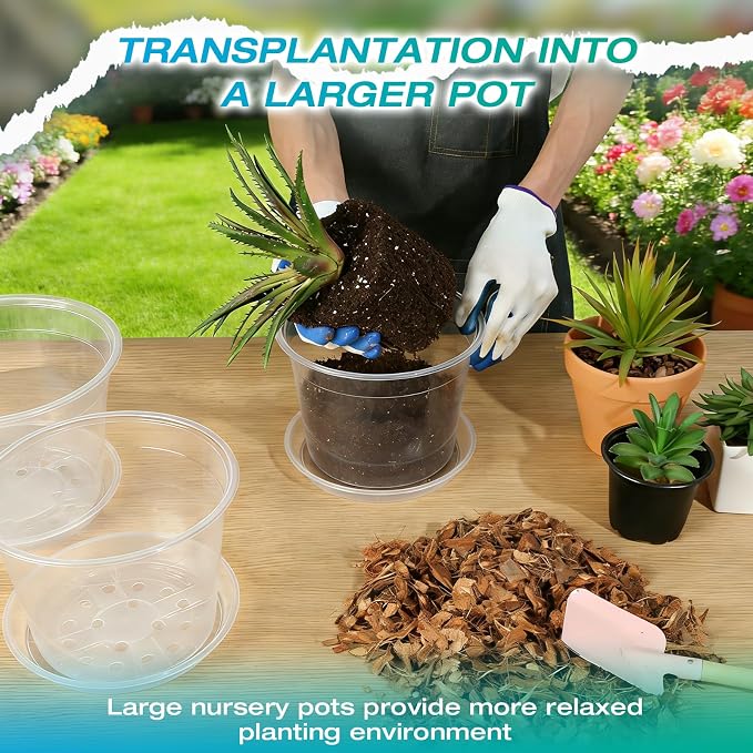 8/10/12 Inch Clear Nursery Pots with Drainage and Sacuers, 15 Pack Plastic Pots for Plants Indoor Outdoor, Variety Large Clear Pots for Flowers, Succulents (8/10/12inx5pcs)