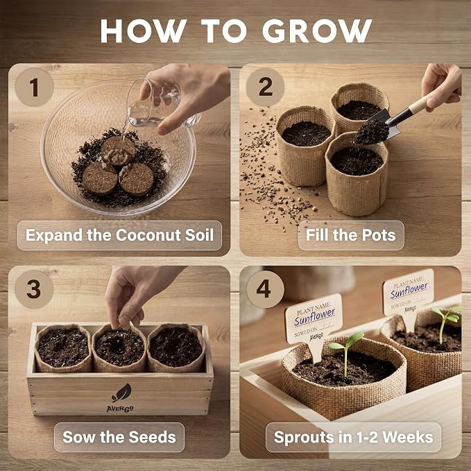 AVERGO Sunflower Seeds Growing Kit | Complete Seed and Plant Indoor & Outdoor Kit with Sunflower Seeds for Planting – Ideal for Planting Sun Flowers at Home