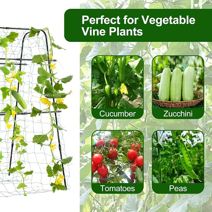 Cucumber Trellis for Raised Bed, 63" Hx 63" L Garden Arch Trellis for Climbing Plants Outdoor, Rustproof Metal Climbing Plant Support Vegetables Snap Pea Pole Bean Fruits Vine Trellis, Black