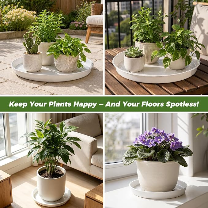 50 Packs 8 Inch Plastic Plant Saucers for Indoor Outdoor, Plant Water Catcher Tray for Pots, Bulk Flower Pot Saucers, Drip Trays for Potted Plants, Round Plates to Catch Water, White