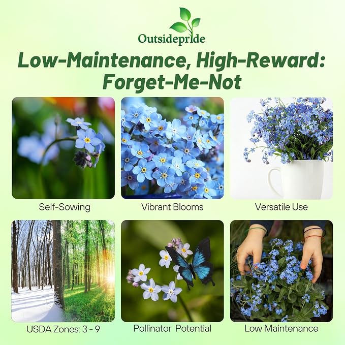 Outsidepride Blue Forget Me Not Seeds - 5000 Seeds Low Growing, Self-Sowing Perennial Flower Seeds for Planting Dense Blue Blooms & Upright Growth Habit for Meadows, Pollinator & Cottage Gardens