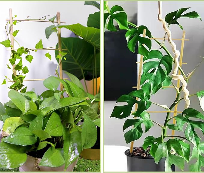 Avalution 5 Pack Bamboo Trellis for Climbing Plants Indoor, 16 Inch Garden Ladder Trellis for Potted Plants, Fan-Shaped Small Plant Support Trellis for Houseplants Ivy Hoya Vine Monstera