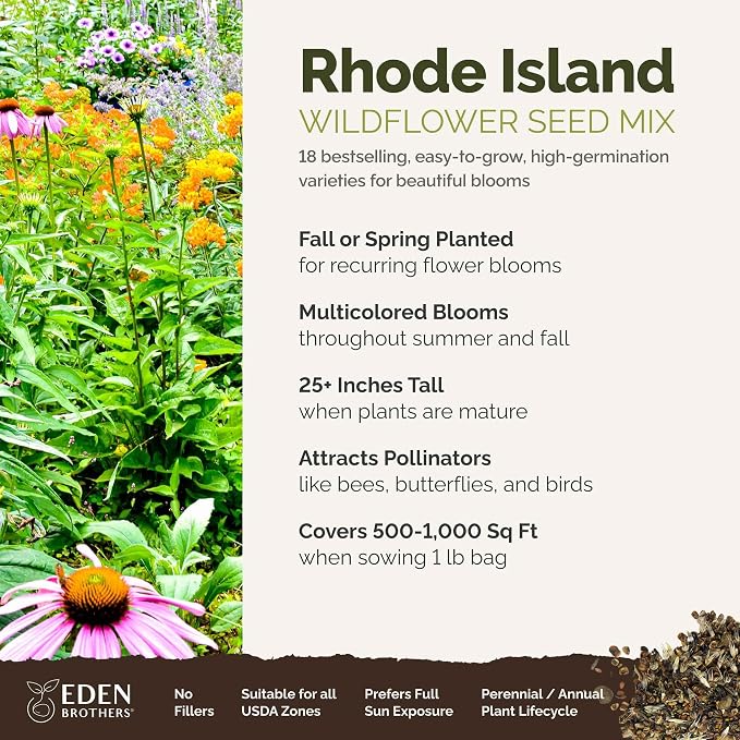 Eden Brothers Rhode Island Wildflower Mixed Seeds for Planting, 1 lb, 480,000+ Seeds with WallFlower, Sunflower | Attracts Pollinators, Plant in Spring or Fall, Zones