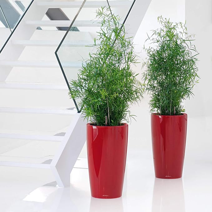 Lechuza Rondo 32 Black High Gloss, Self-Watering Tall Planter, D12.6 H22 in