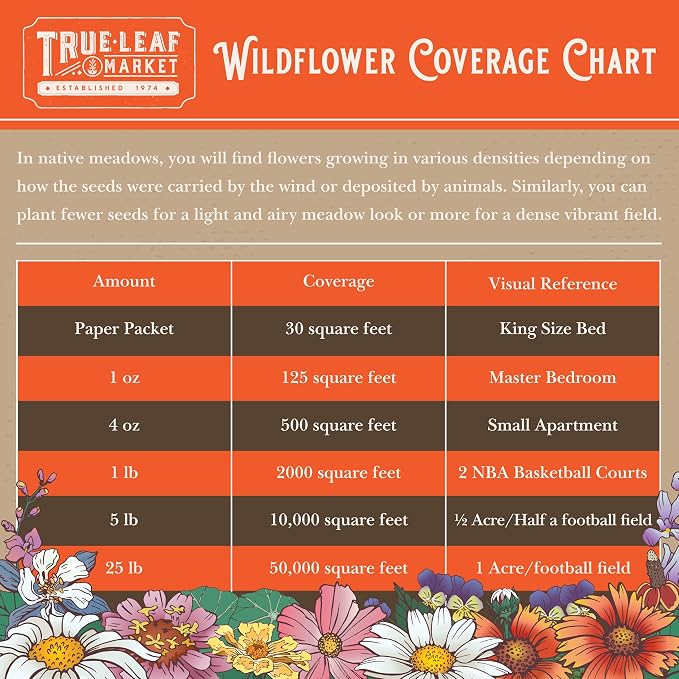 Mountain Valley Seed Co Pacific Northwest Wildflower Seeds - 1 Lb | ~640,000 + Non-GMO Seed - 25 Varieties Including Poppy, Larkspur, Daisy & More - Pollinator Mix for Planting Outdoors