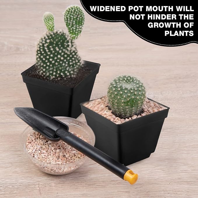 Amyhill 100 Pcs 4 Inch Flower Pots Square Plants Nursery Pot Plastic Plant Seedling Pots Small Nursery Transplanting Planter Container with Saucer for Indoor Succulent Balcony Garden (Black)