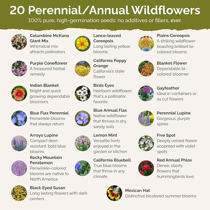 Eden Brothers North American Native Wildflower Mixed Seeds for Planting, 5 lb, 2,400,000+ Seeds with Birds Eyes, Lupine | Attracts Pollinators, Plant in Spring or Fall, Zones 3, 4, 5, 6, 7, 8, 9, 10