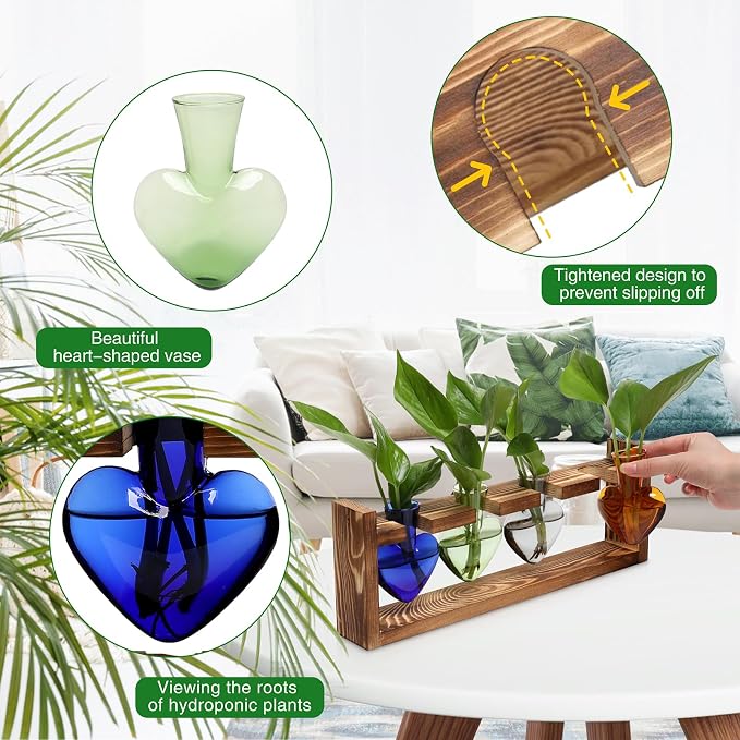 Plant Propagation Stations Heart Plant Terrarium Kit | Gift for Women Plant Lover Glass Vases