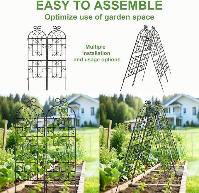 Lorenzo 2 Pcs 70 x 19.7 Inch Metal Garden Trellis for Climbing Plants Outdoor, Black Coated Frame, Plant Support for Outdoor Roses Vines Cucumber Vegetables
