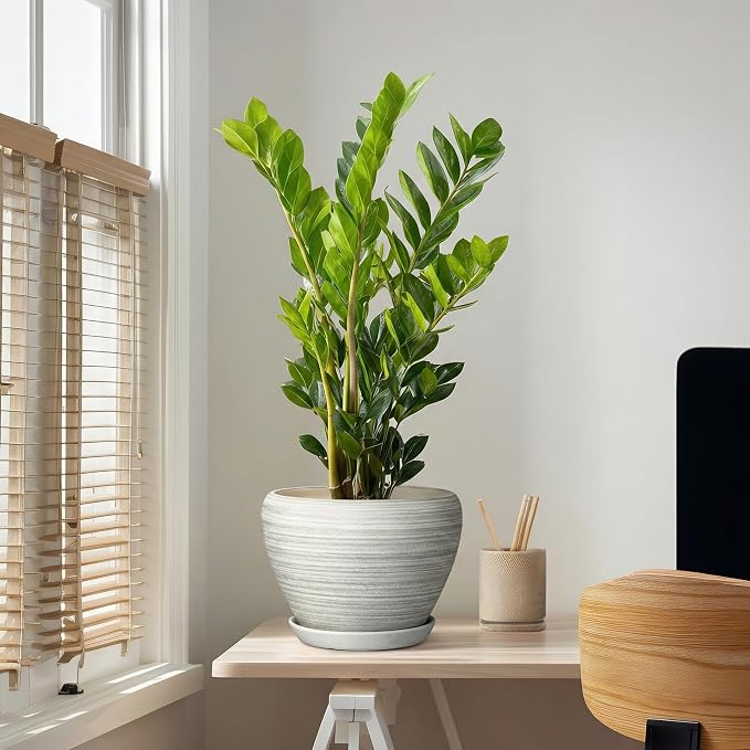 Ceramic Plant Pots Indoor - 10 Inch Planter with Drainage Hole and Saucer, Modern Planters for Indoor Outdoor Plants, Large Flower Pots, Bedroom Decor, Gardening Gifts, Textured Grey