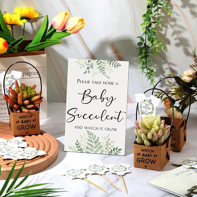 Geetery 101 Pcs Succulent Baby Shower Party Favor 1 Wooden Table Sign 50 Tags and 50 Kraft Succulent Pots for Guest Baby Shower Favors Gifts(Watch Baby)