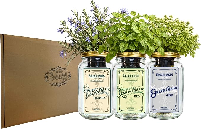 Chef’s Herb Garden Mason Jar Grow Kit (3 Pack) – Tuscan Blue Rosemary, Greek Basil & Lemon Balm – Indoor Hydroponic Herb Growing Kit – Windowsill Kitchen Herb Garden