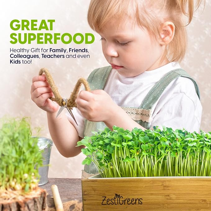 Organic Self-Watering Microgreens Growing Kit – Reusable Indoor Grow Tray with Organic Seeds, Grow Mats & Bamboo Frame – Easy No-Soil Microgreens Starter Kit (Broccoli & Salad Mix)