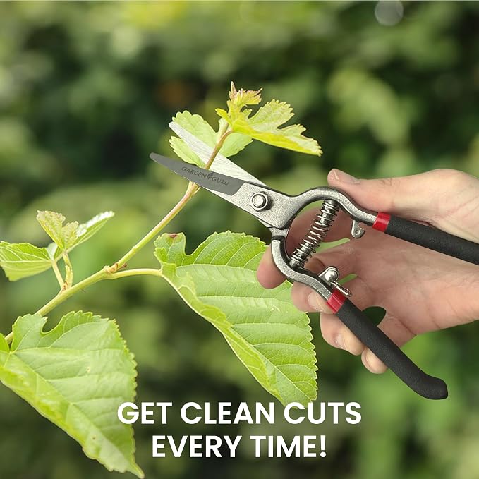 Garden Guru Classic Bypass Pruning Shears Clippers – Heavy Duty Forged Steel Pruners – Non Slip Comfort Grips – Cuts up to 1” Diameter – Professional Straight Pruners for Gardening - 1 Case (60 Pcs)