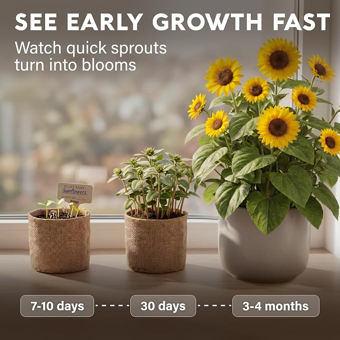 AVERGO Sunflower Seeds Growing Kit | Complete Seed and Plant Indoor & Outdoor Kit with Sunflower Seeds for Planting – Ideal for Planting Sun Flowers at Home