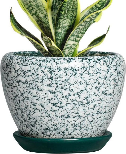 Ceramic Plant Pot, 6 Inch, Crackle Green | Round Succulent Pot, Drainage Hole and Saucer, Modern Decorative, Bathroom Decor, House Warming Gift
