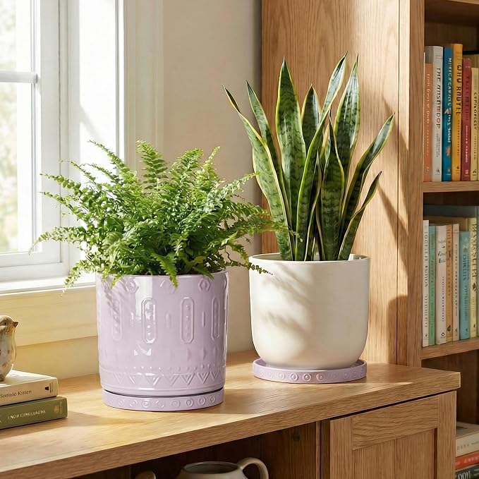 Eightpot 2 Pack Plant Trays for Pots, 7.5 Inch Plant Plates to Catch Water for Indoor Outdoor, Round Plants Water Catcher Tray, Boho Flower Pot Saucer, Decorative Plants Dishes to Catch Water, Purple