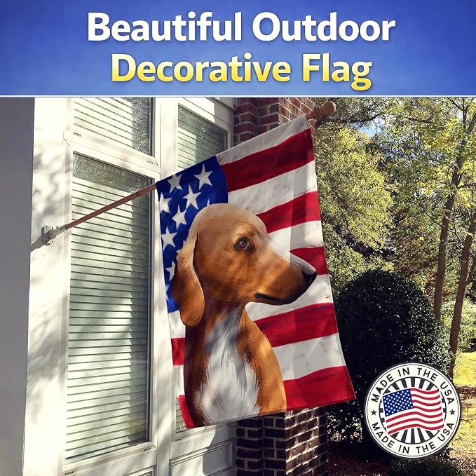Caroline's Treasures CK6416CHF Azawakh Hound American Flag House Flag Large Porch Sleeve Pole Decorative Outside Yard Banner Artwork Wall Hanging, Polyester, House Size, Multicolor