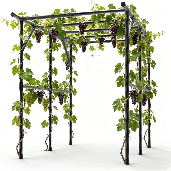 BUKLIYN Garden Arch - Grape Vine Trellis Size: 94.5 * 59.1 * 76.0 Inches, Plant Support Frame for Grape Fruits, Cucumbers, Peas, Beans and Pumpkins（Max Leg spacing 79"）