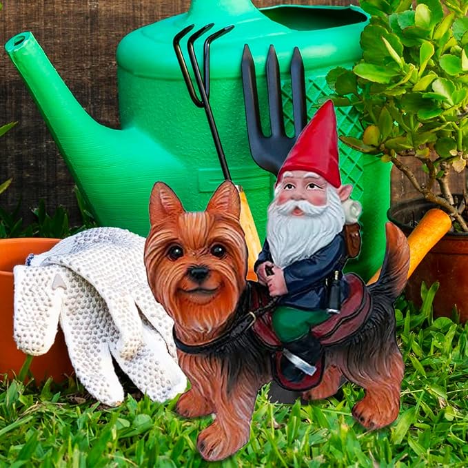 Funny Guy Mugs Gnome Riding A Yorkshire Terrior Statue - Indoor or Outdoor Garden Gnome Sculpture for Patio, Yard or Lawn - Yorkie Statue