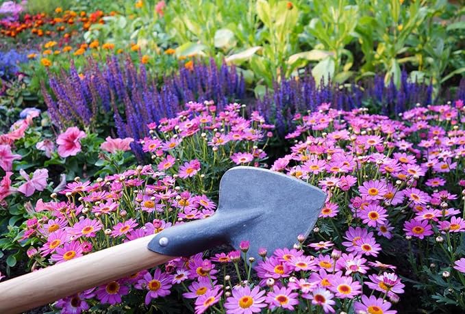 Tierra Garden DeWit Perennial Planter