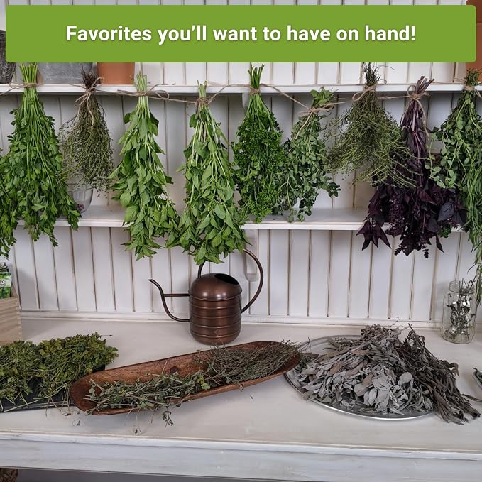 Sow Right Seeds - Perennial Herb Garden Seed Collection - Mint, Lavender, Sage, Common Chives, Lemon Balm, Garlic Chives, Thyme, Peppermint, Oregano and Marjoram - Non-GMO Heirloom Seeds for Planting