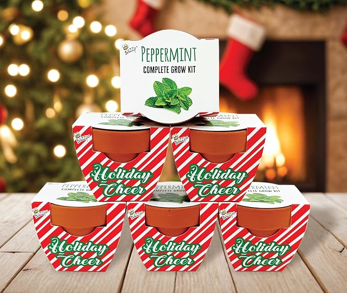 BUZZY Seeds Holiday Candy Cane Peppermint Grow Kit 6-Pack - Mini Terracotta Pot Grow Set - Complete Indoor Gardening Kit with Seeds, Coconut Husk Growing Medium & Genuine Pots - 100% Grow Guarantee