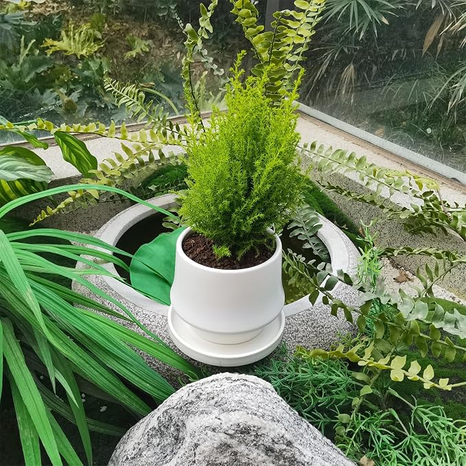 Ceramic Plant Saucer 5 Inch, 2 Pack Round Plant Saucers for Indoors/Outdoors, Flower Pot Saucers for Holding Water Drips and Soil, Ceramic Drainage Tray for Plant Pot(Frosted White)