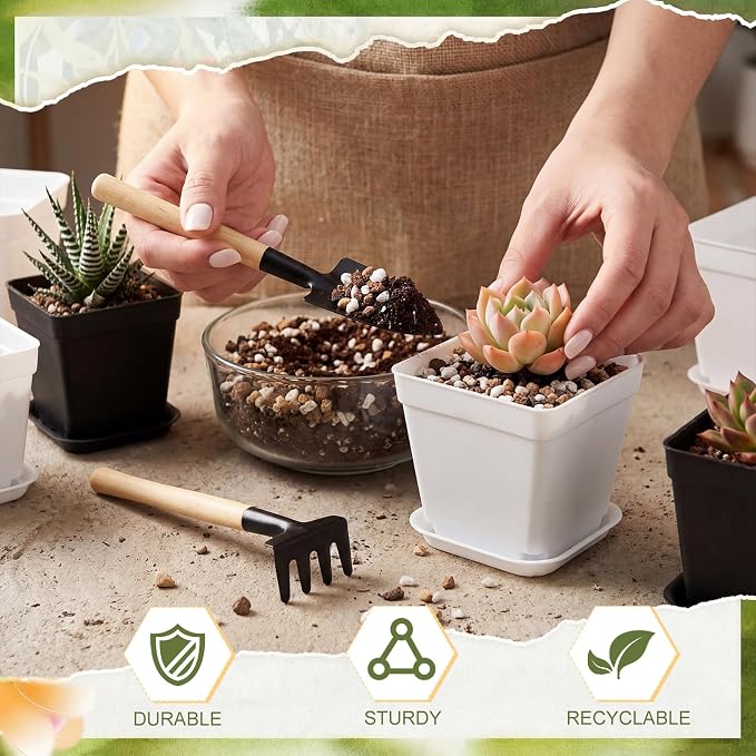 Amyhill 100 Pcs 4 Inch Flower Pots Square Plants Nursery Pot Plastic Plant Seedling Pots Small Nursery Transplanting Planter Container with Saucer for Indoor Succulent Balcony Garden (Black and White)