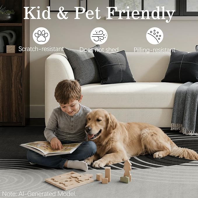 DCX Abstract Washable 4x6 Rug, Non Slip Low Pile Rug, Black Gray | Rugs for living room, bedroom, dining room, office, soft, mid century modern rug, sain resistant indoor carpet, home decor