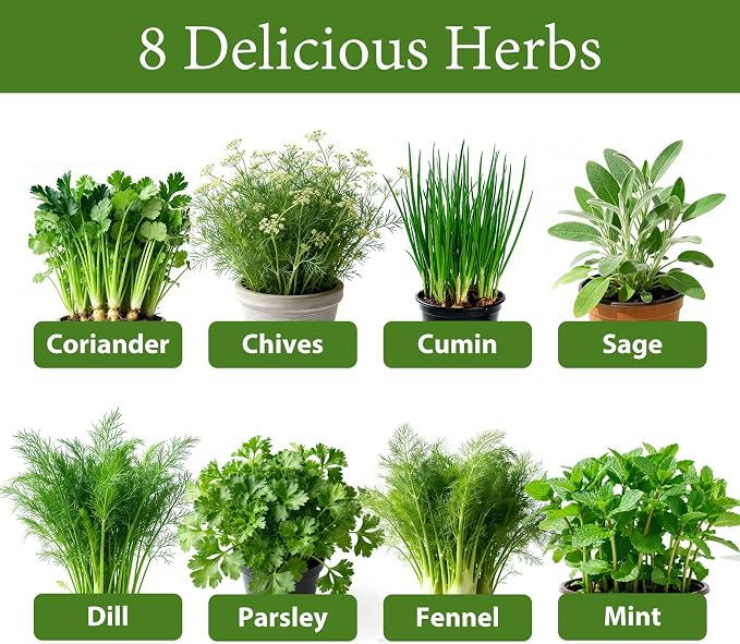 LUOJIBIE Herb Garden Kit Indoor, Herb Growing Kit with Seeds & Tools | Birthday Gifts for Women Men Mom Dad Girls Boys, House Warming Gifts New Home, Anniversary Wedding Gifts, Kitchen Décor