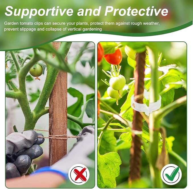 Qunclay 1500 Pcs Tomato Clips Plant Support Clips for Outdoor Plants Bulk String Trellis Grape and Tomato Vine Climbing Plants Plastic White Garden Grow Upright Makes Healthier 1" Inner Diameter
