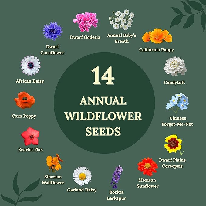 Wildflower Seeds for Bees & Butterflies – 22 Variety Pollinator Mix – 160,000+ Seeds – Annual & Perennial Wildflower Blend – 4 oz