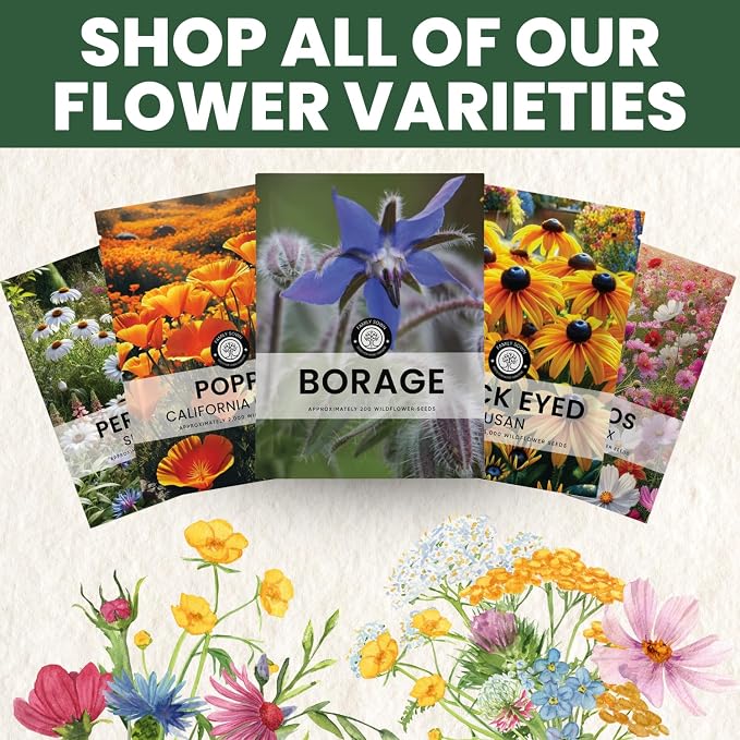 Borage – 1,000 Seeds for Planting – 2026 Season – 1 Ounce Pouch