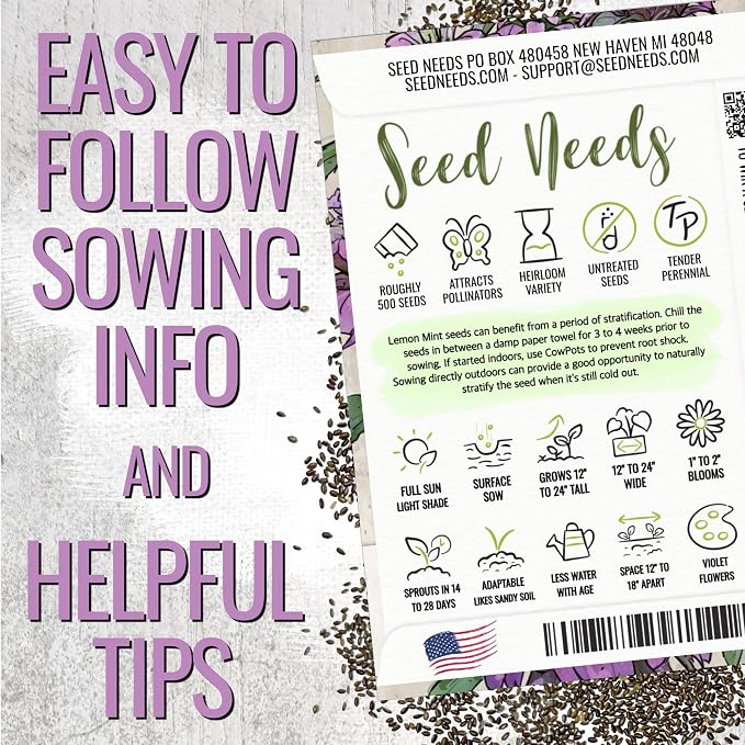 Seed Needs Lemon Mint Seeds to Plant Annual Heirloom Non-GMO Herbs 5 Packs