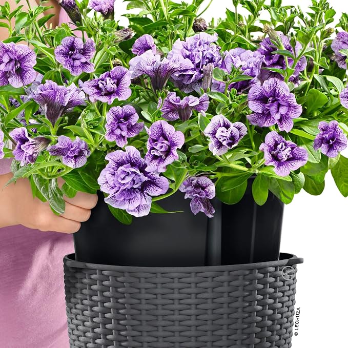 Lechuza Nido Cottage 28 Light Grey, Self-Watering Hanging Planter, D10.6 H9.1 in