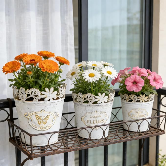 Set of 3 Vintage French Country Planters, Distressed White Metal Flower Pots with Lace Cutout Rim, Plant Pots for Succulents, Herbs, Indoor Outdoor Home Garden Decor (White - Set of 3)