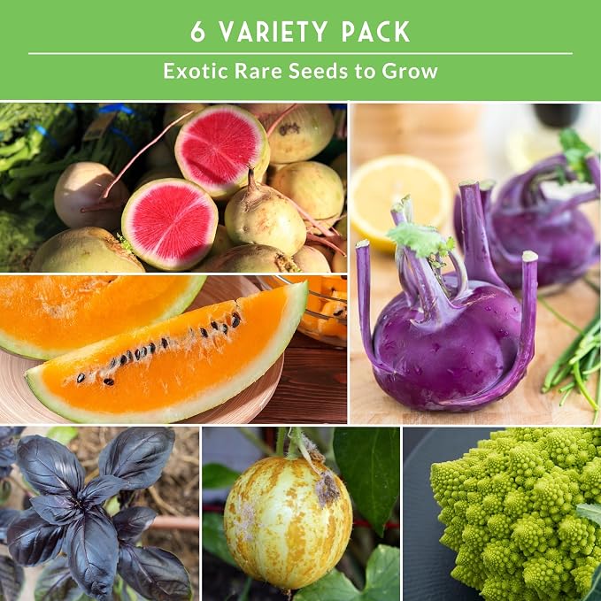 Rare Exotic Vegetable & Fruit Seeds for Planting – 6 Variety Heirloom Pack with Romanesco, Lemon Cucumber, Watermelon Radish & More by Survival Garden Seeds
