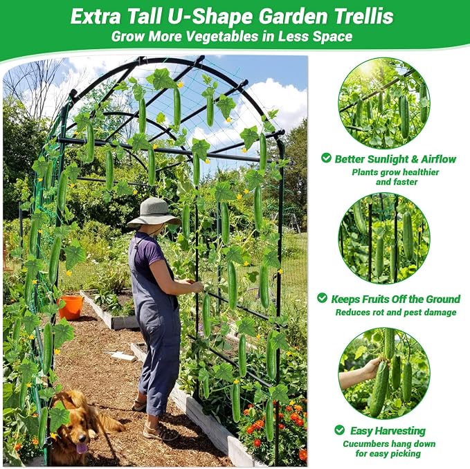 Tall Garden Arch Trellis for Climbing Plants Outdoor,7 ft Arbor Large Arch Tunnel Trellis, Metal Cucumber Trellis, Plant Support Archway Garden Trellis for Vegetables Fruits Flowers Yard